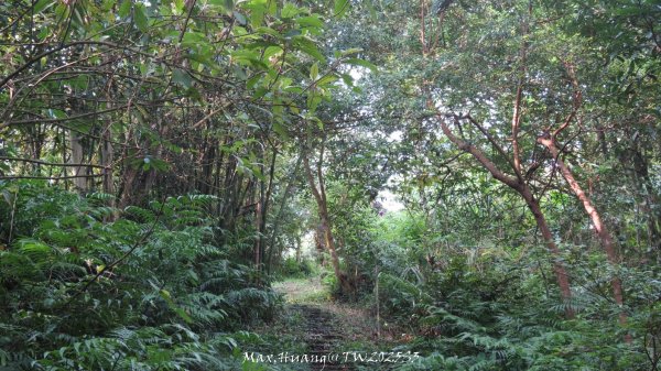 《苗栗》關刀出關｜三義關刀山出關古道(聖關段-苗56)202509052878831