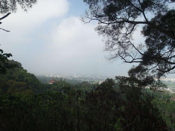 彰化社頭清水岩到田中鼓山寺之森林步道128053