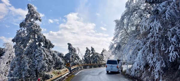 #霧淞 #雲海 #雲瀑 #霧虹 #太平山 #望洋山 #觀雲步道 #翠峰道路  2/82995264