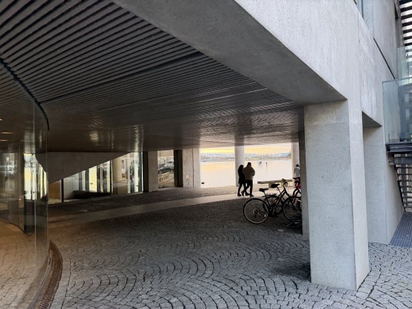 [紐約馬之行-21] 2025_1104 托寧湖(Tjörnin)2946337