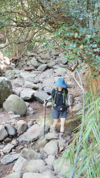 里龍山親子登山趣743993