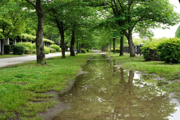 日本 大阪2784874