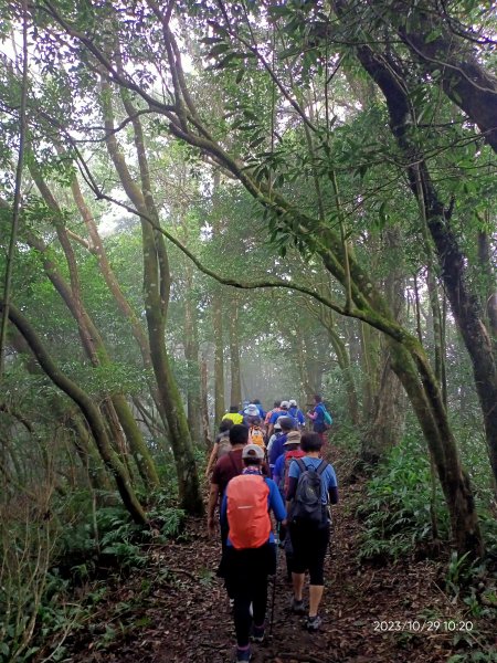 出關古道：聖關段(關刀山步道)、薑麻園、大湖酒莊【小百岳集起來、走路趣尋寶】2331954