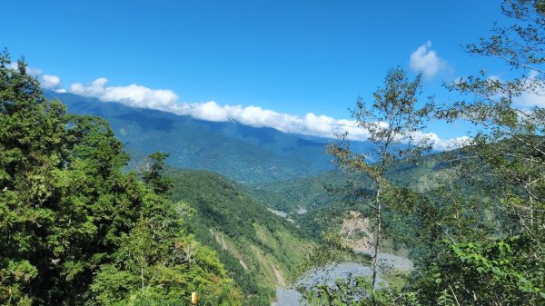 見晴懷古步道，燈篙林道，肖楠步道，稼穡林蔭步道，小金瓜露頭步道1859681