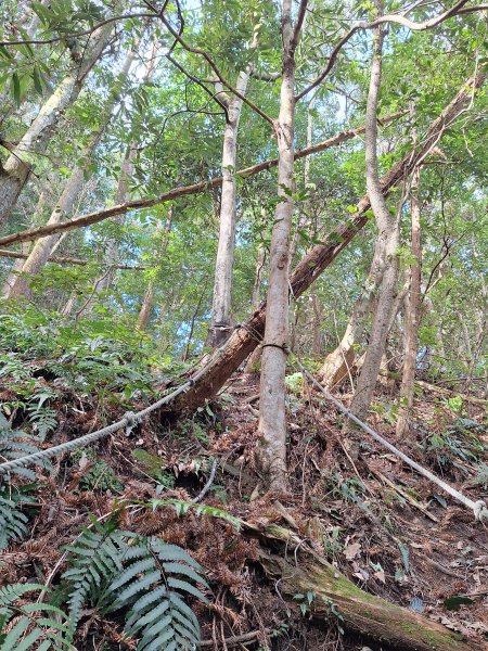 仙山古道群峰O型2693642