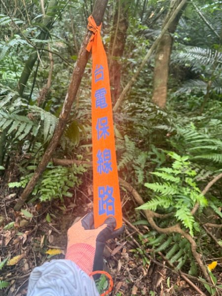 20250601 柑柑柑腳山2801039