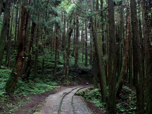 特富野古道90538