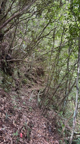 林鐵遺跡2878203