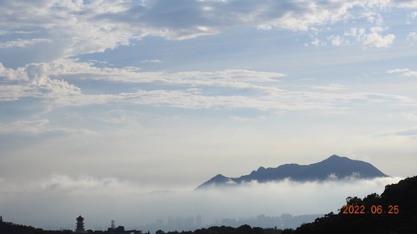 雲山水花鳥蝶-天龍國阿伯的日常6/25&261744330