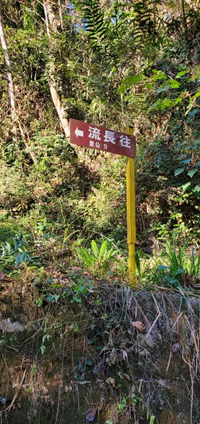 2021-12-12大橫屏山步道1547501