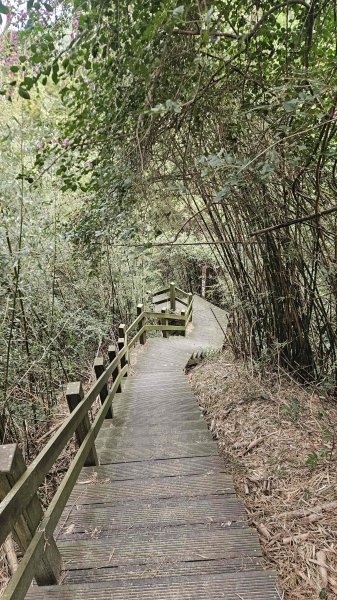 20251226糖塔山-埤塘窩山-石頭坑山2969765