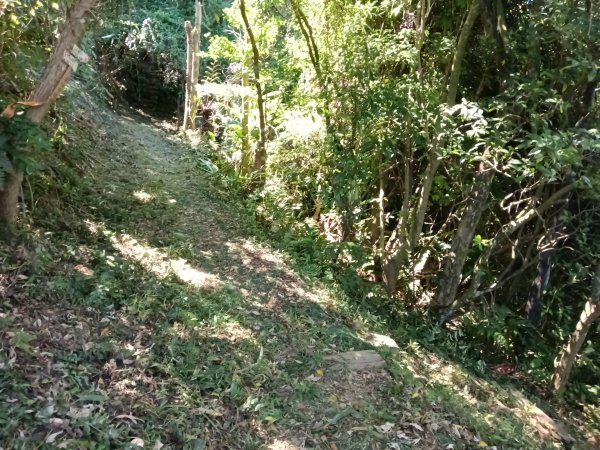 基隆市外西勢坑山+暖暖砲台+福基煤礦遺址O型2907982