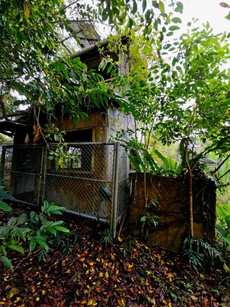 西阿里關山-小百岳#66-高雄市甲仙區2750005