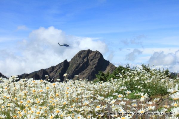 心的收藏｜玉山．大頭目
