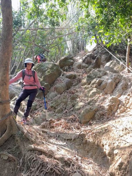 旗尾山(小百岳#)722765419