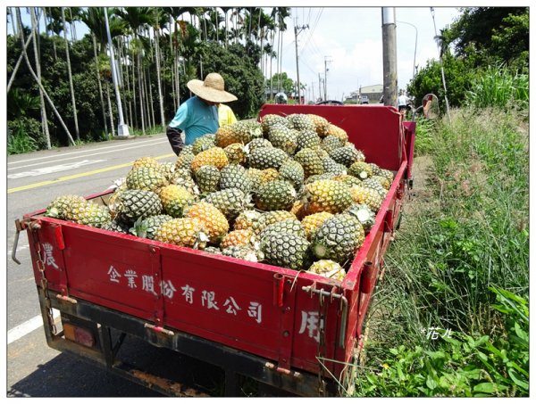 彰化/橫山觀日步道636160