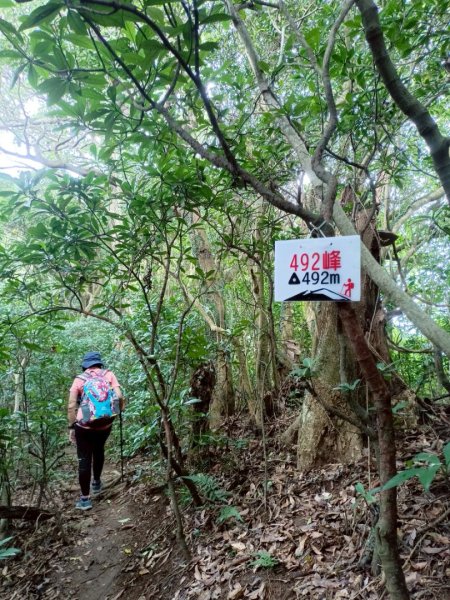 凌雲寺-觀音山-八里渡船頭-202508032866420