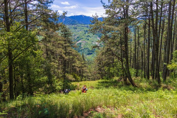 [百岳]大小劍未完2784259