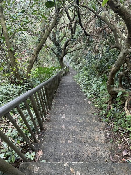 紅淡山步道&槓子寮山 / 小百岳No4&7/基隆2045279