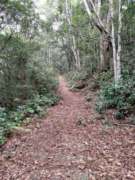 【新竹縣尖石鄉】秀巒軍艦岩步道2833654