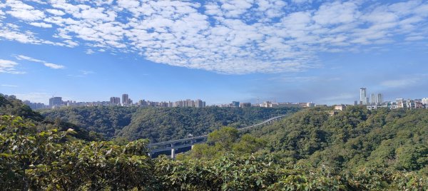 新寮休閒步道2949218