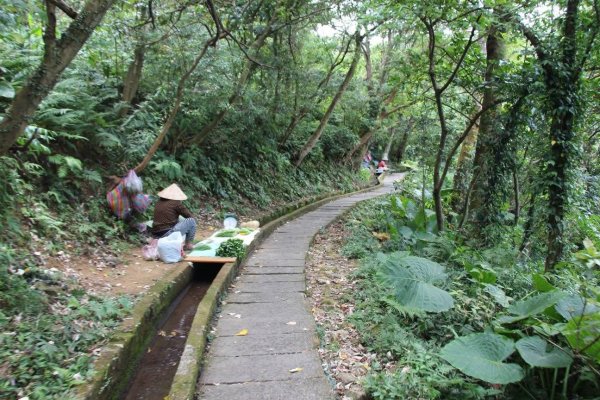 1130707青山瀑布步道3098019