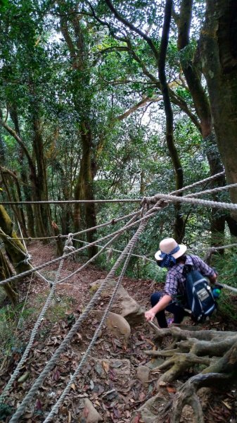 苗栗【仙山】2019/12/22784923