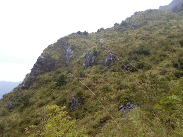 石瀑滾滾登玉山前峰~這輩子只會爬這一次182706