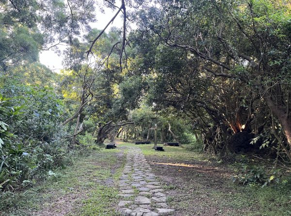 [屏步青雲 尋寶任務-07/10] 2024_1006 社頂自然公園步道2616781