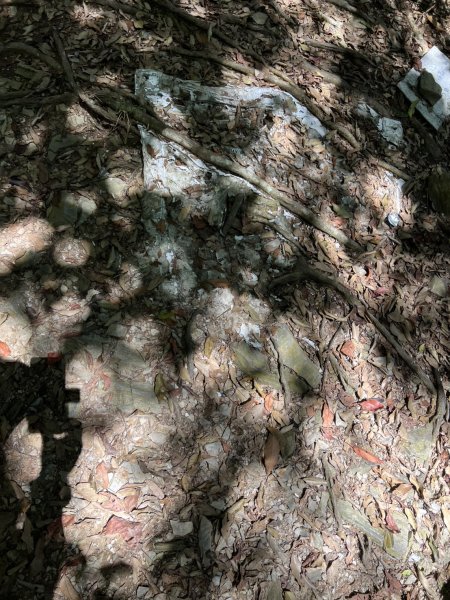 藤枝山3061246