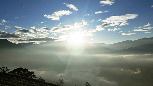 【巃頭-龍銀山天氣】阿里山日出私房秘境691529