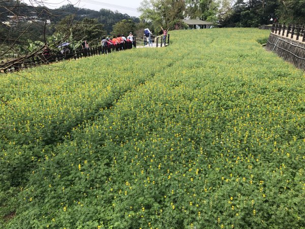 指南宮貓空親山步道532103