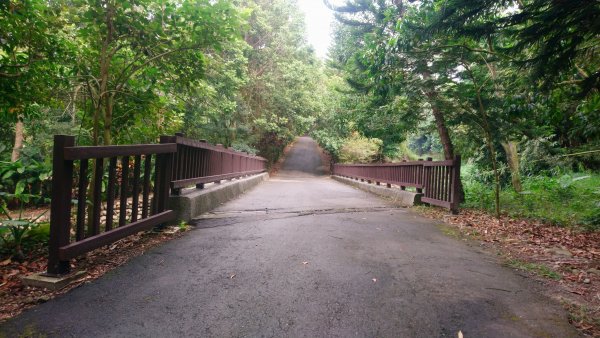 松柏嶺登廟步道1533848