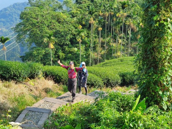 【雲嘉】後棟山連走大二尖山1478436