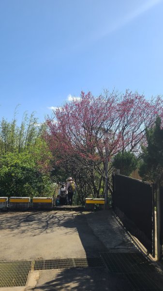 2025-0130溪和宮-大崎頭步道-鵝尾山-平溪步道-鵝尾山水田-42巷-溪山百年古圳-平菁步道2701926