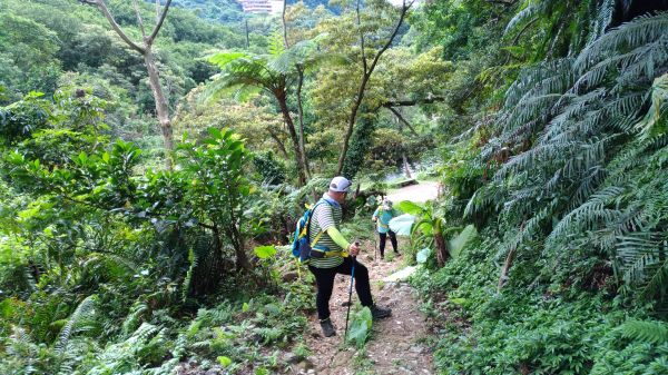 探尋五指山古道!171201