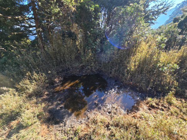 卓社大山〔武界栗栖溪登山口起登〕2748488