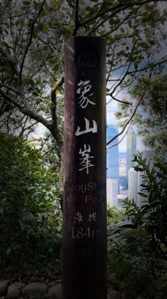 南港山縱走親山步道3004804