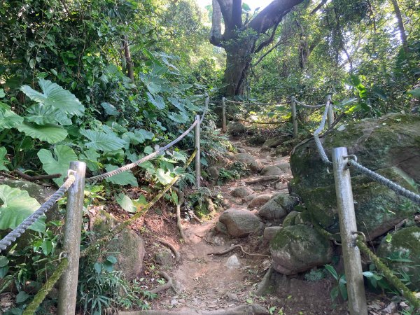 2022.10.02 關渡-二子坪（臺北大縱走第一段、順走忠義山、小坪頂山、二子山）1881847