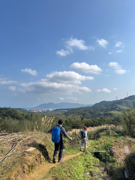 2025-01232淡蘭古道北二段(燦光寮古道到澳底)2696727