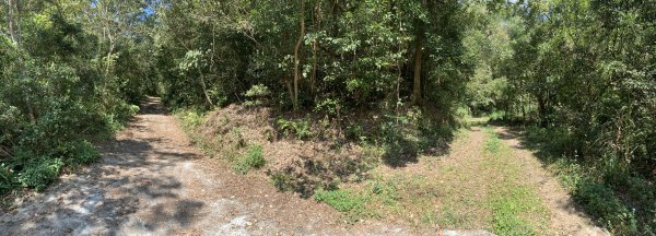 20250228屏東達洼蘭山-下達洼蘭山2732884