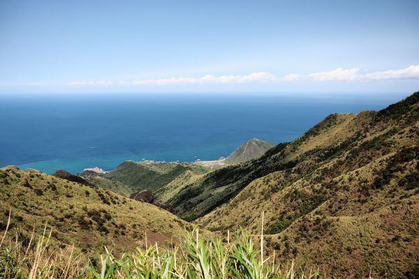 茶壺-半屏-燦光寮 早春286274