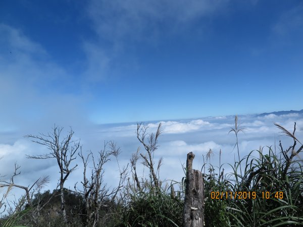 加里山雲海美景725087