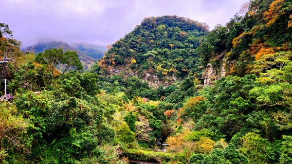 大霸尖山，小霸尖山，伊澤山，加利山，向天湖山，三角湖山，光天高山，李棟山，青蛙石步道，銅鏡山林步道1983035