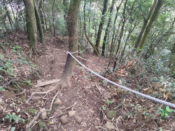 【新竹縣北埔鄉】五指山步道2833633