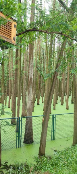青山湖3089594