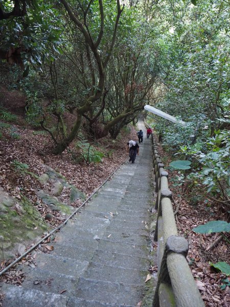 彰化隴頂古道至鳳山寺O型20181216483079