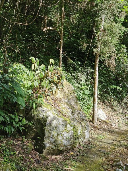 獅頭山風景區 - 漫步參山步道1023025