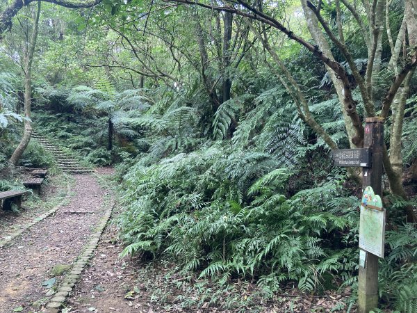 土庫岳2527762