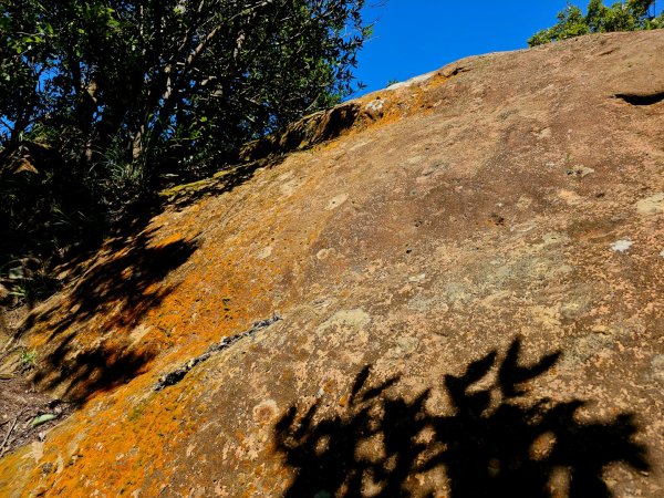 (二格山系)皇帝殿稜線-2025微笑山線大縱走尋寶集章任務2863477